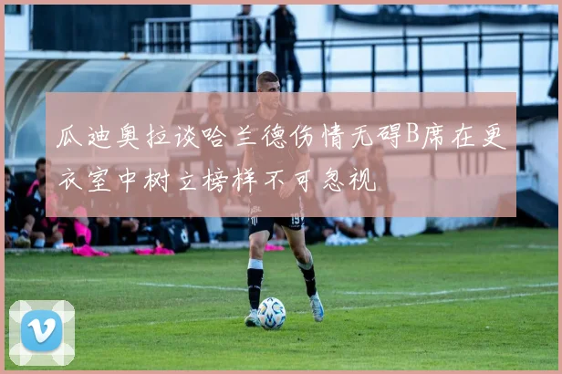 瓜迪奥拉谈哈兰德伤情无碍B席在更衣室中树立榜样不可忽视